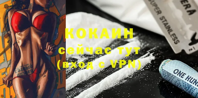 цена наркотик  Правдинск  COCAIN 97% 